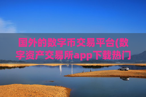 国外的数字币交易平台(数字资产交易所app下载热门)