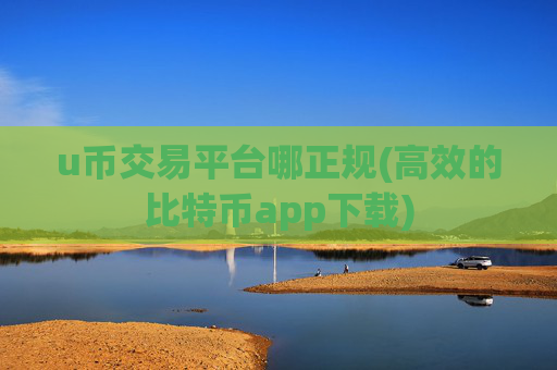 u币交易平台哪正规(高效的比特币app下载)