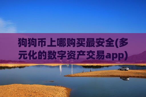狗狗币上哪购买最安全(多元化的数字资产交易app)