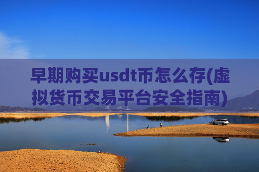 早期购买usdt币怎么存(虚拟货币交易平台安全指南)