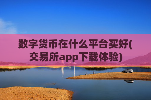 数字货币在什么平台买好(交易所app下载体验)