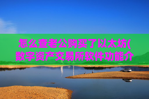 怎么查老公购买了以太坊(数字资产交易所软件功能介绍)