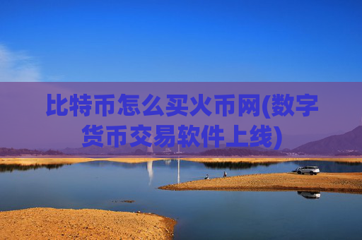 比特币怎么买火币网(数字货币交易软件上线)