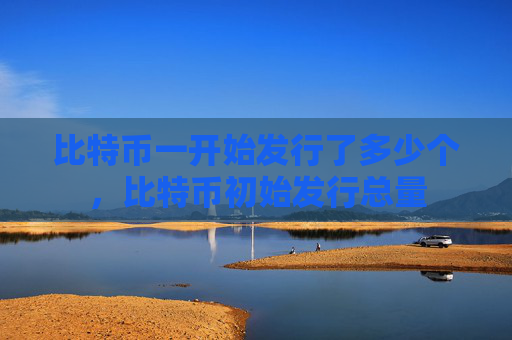 比特币一开始发行了多少个，比特币初始发行总量