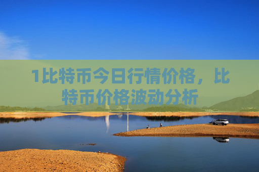 1比特币今日行情价格，比特币价格波动分析