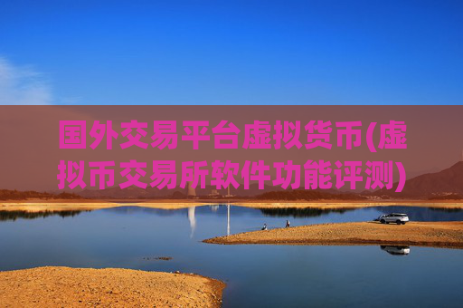 国外交易平台虚拟货币(虚拟币交易所软件功能评测)