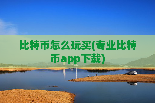 比特币怎么玩买(专业比特币app下载)