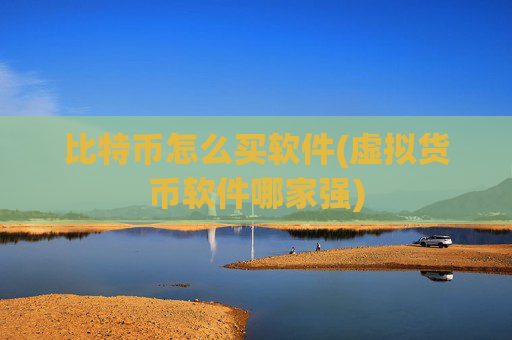 比特币怎么买软件(虚拟货币软件哪家强)