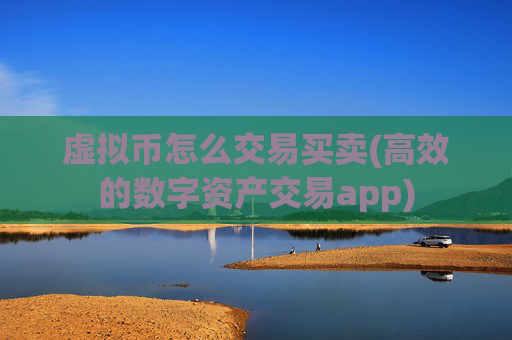 虚拟币怎么交易买卖(高效的数字资产交易app)