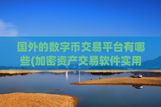 国外的数字币交易平台有哪些(加密资产交易软件实用技巧)