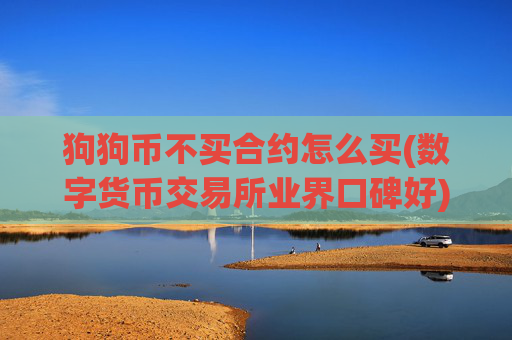 狗狗币不买合约怎么买(数字货币交易所业界口碑好)