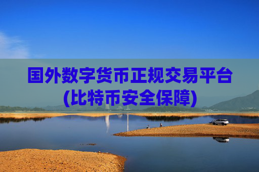 国外数字货币正规交易平台(比特币安全保障)