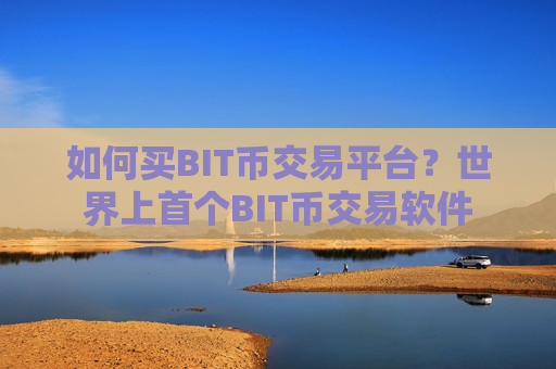 如何买BIT币交易平台？世界上首个BIT币交易软件