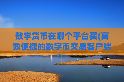 数字货币在哪个平台买(高效便捷的数字币交易客户端)