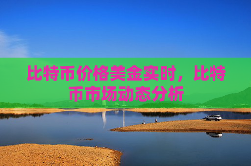 比特币价格美金实时，比特币市场动态分析