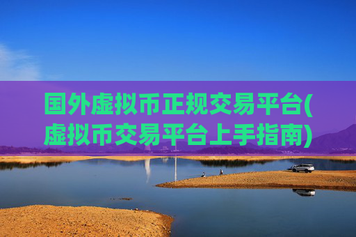 国外虚拟币正规交易平台(虚拟币交易平台上手指南)
