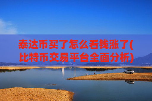 泰达币买了怎么看钱涨了(比特币交易平台全面分析)