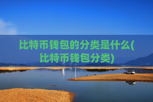 比特币钱包的分类是什么(比特币钱包分类)
