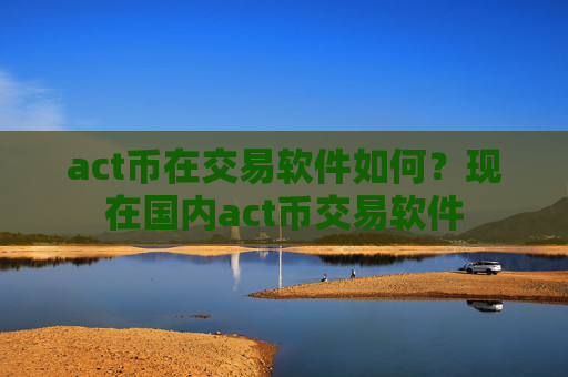 act币在交易软件如何？现在国内act币交易软件