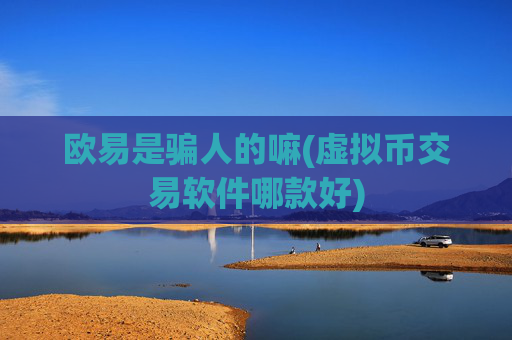 欧易是骗人的嘛(虚拟币交易软件哪款好)