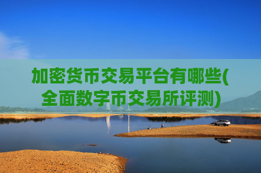 加密货币交易平台有哪些(全面数字币交易所评测)