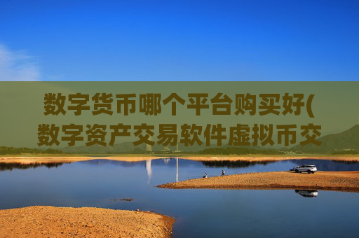 数字货币哪个平台购买好(数字资产交易软件虚拟币交易所)
