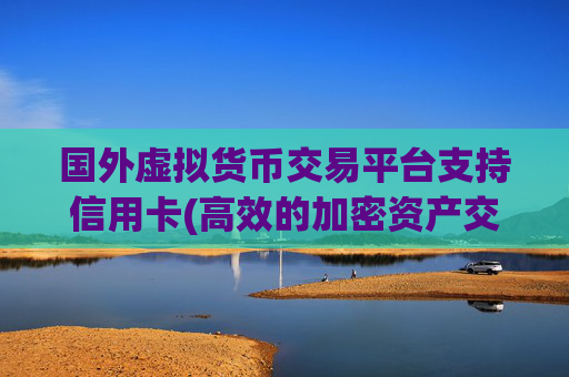 国外虚拟货币交易平台支持信用卡(高效的加密资产交易软件)
