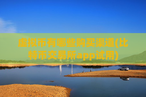 虚拟币有哪些购买渠道(比特币交易所app试用)