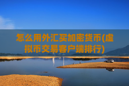 怎么用外汇买加密货币(虚拟币交易客户端排行)