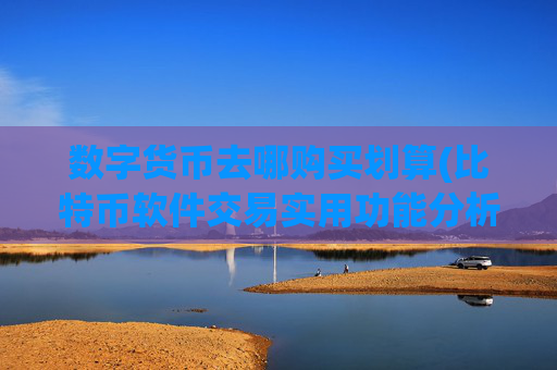 数字货币去哪购买划算(比特币软件交易实用功能分析)