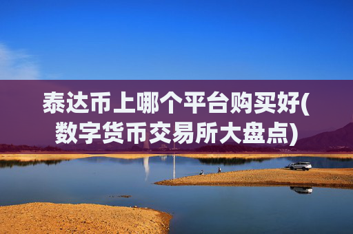 泰达币上哪个平台购买好(数字货币交易所大盘点)