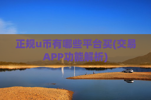 正规u币有哪些平台买(交易APP功能解析)