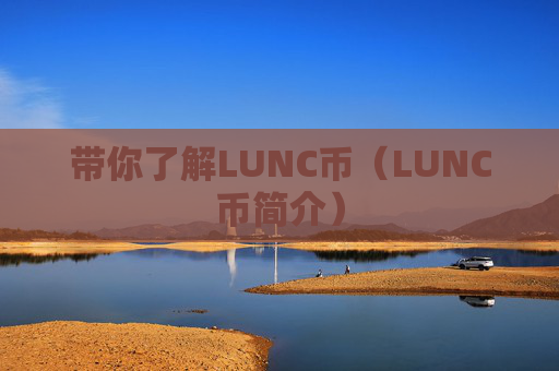 带你了解LUNC币（LUNC币简介）