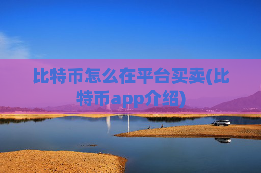 比特币怎么在平台买卖(比特币app介绍)