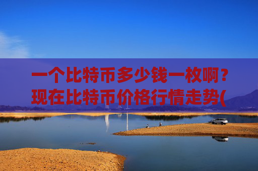一个比特币多少钱一枚啊？现在比特币价格行情走势(现价714957.79元)