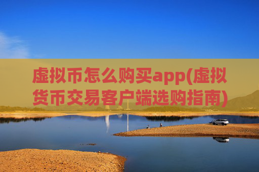 虚拟币怎么购买app(虚拟货币交易客户端选购指南)
