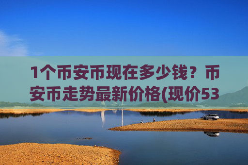 1个币安币现在多少钱？币安币走势最新价格(现价5313.71元)