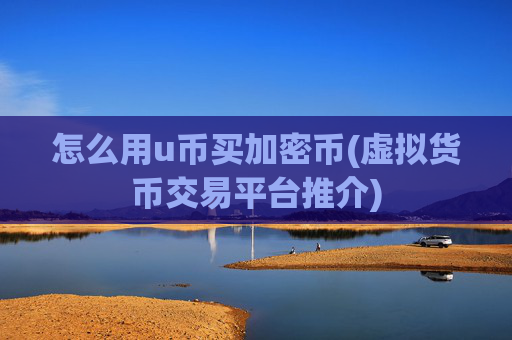 怎么用u币买加密币(虚拟货币交易平台推介)