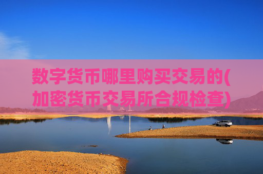 数字货币哪里购买交易的(加密货币交易所合规检查)