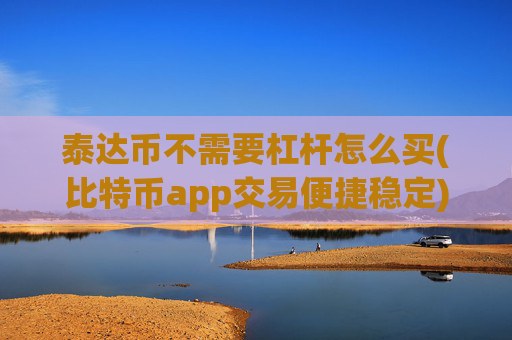 泰达币不需要杠杆怎么买(比特币app交易便捷稳定)