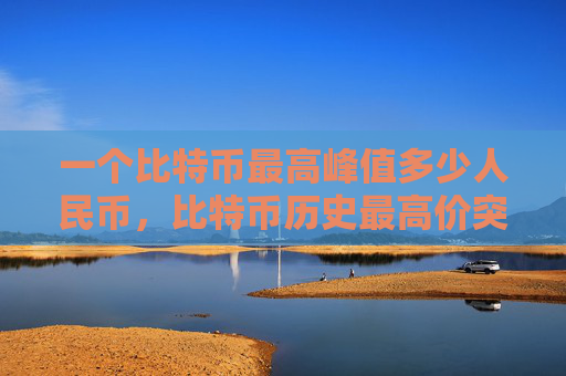 一个比特币最高峰值多少人民币，比特币历史最高价突破四十万