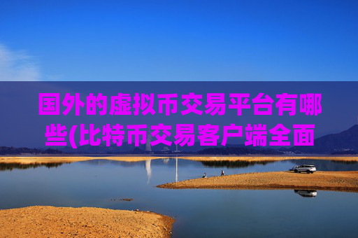 国外的虚拟币交易平台有哪些(比特币交易客户端全面优化)