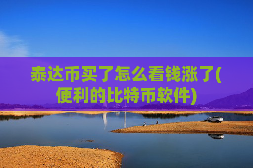 泰达币买了怎么看钱涨了(便利的比特币软件)