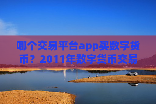 哪个交易平台app买数字货币？2011年数字货币交易app