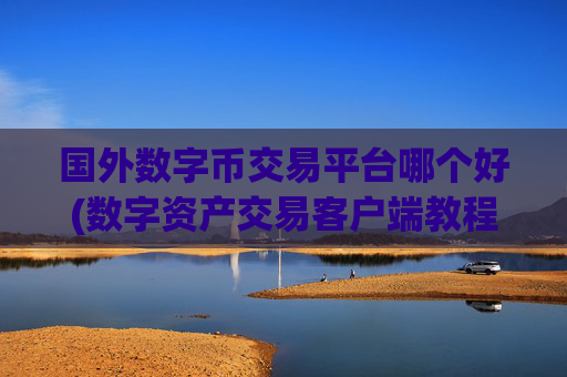 国外数字币交易平台哪个好(数字资产交易客户端教程)