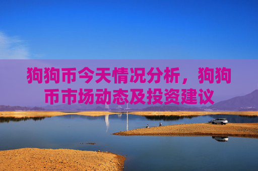 狗狗币今天情况分析，狗狗币市场动态及投资建议