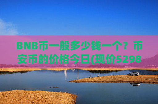 BNB币一般多少钱一个？币安币的价格今日(现价5298.08元)