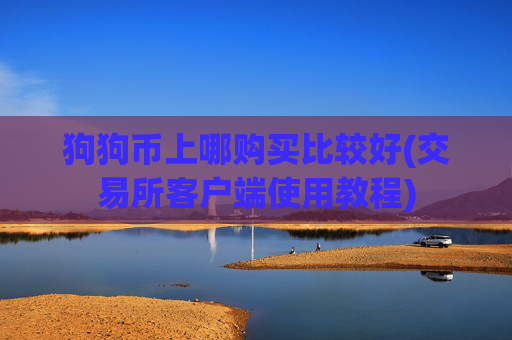 狗狗币上哪购买比较好(交易所客户端使用教程)