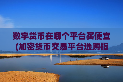 数字货币在哪个平台买便宜(加密货币交易平台选购指南)