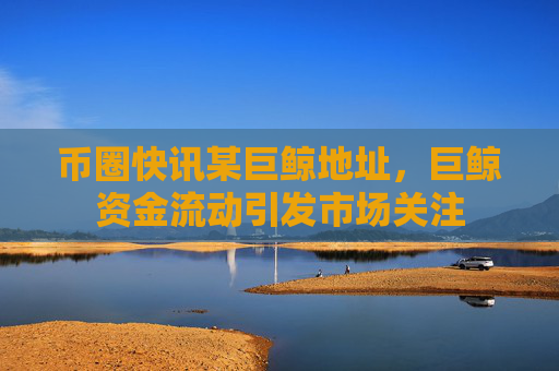 币圈快讯某巨鲸地址，巨鲸资金流动引发市场关注